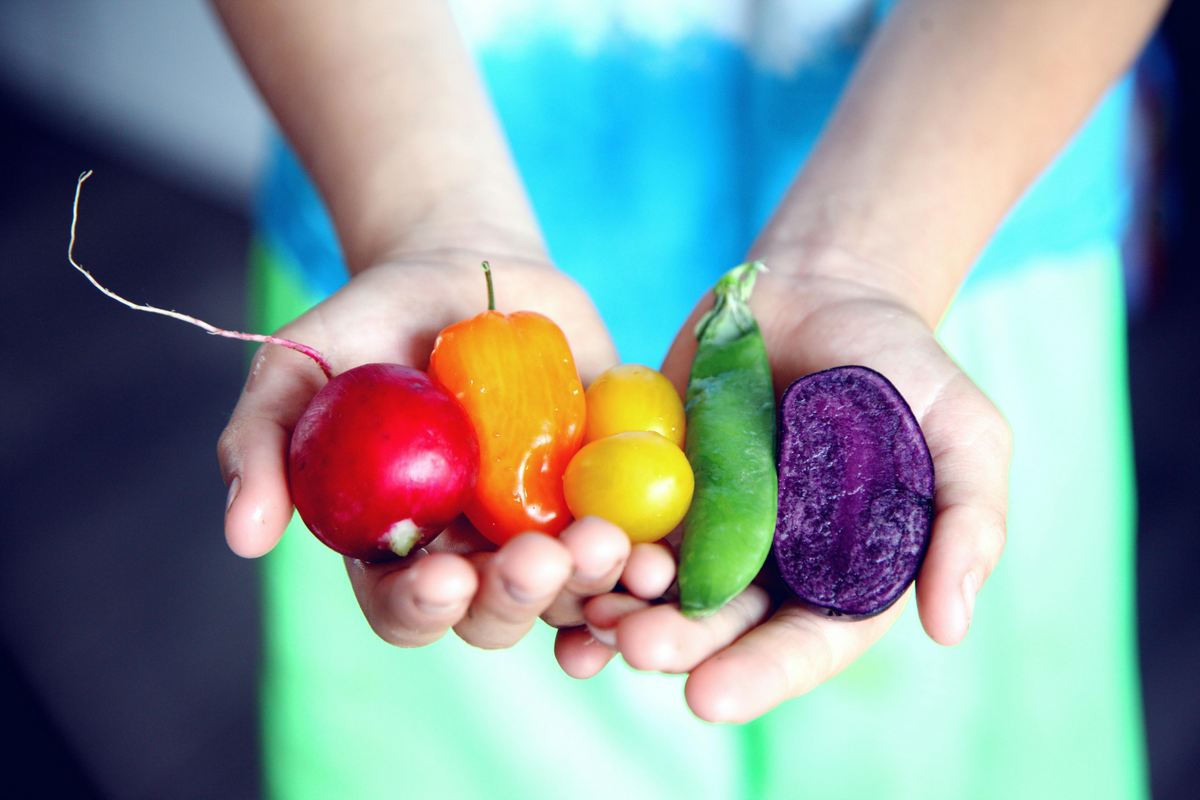 Descubra os Segredos da Alimentação Saudável em 5 Passos