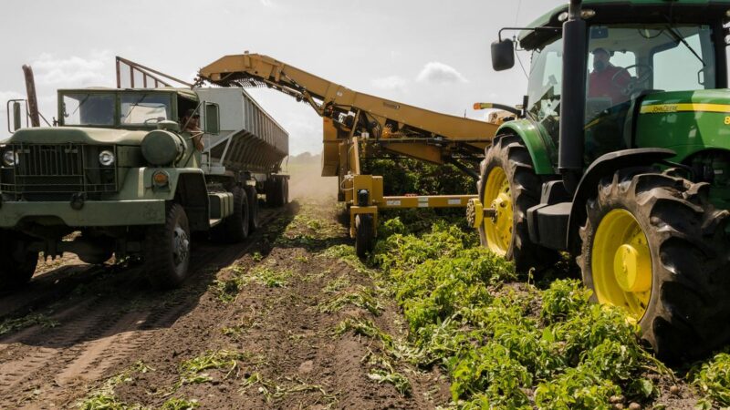 O que é agricultura? Tudo o que você precisa saber