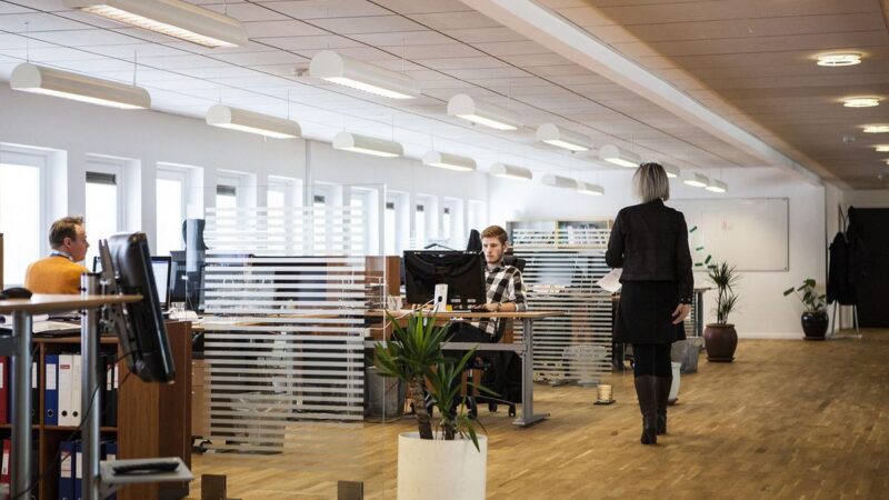 Como consultar CNPJ de uma empresa: passo a passo completo