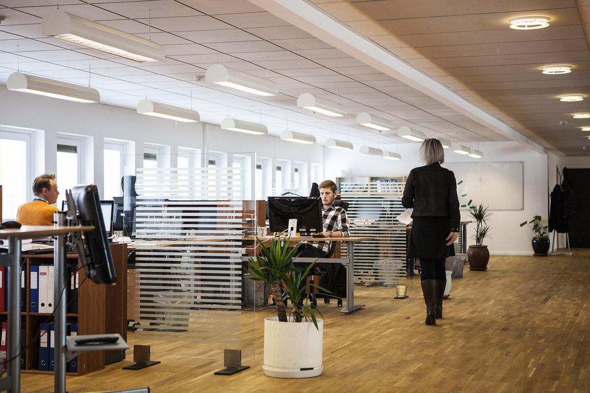 Como consultar CNPJ de uma empresa: passo a passo completo