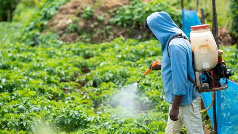 Controle de Pragas: Guia Completo para Proteger Seu Ambiente